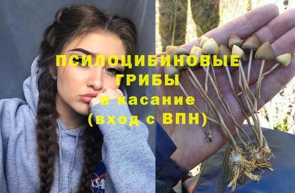 альфа пвп Протвино
